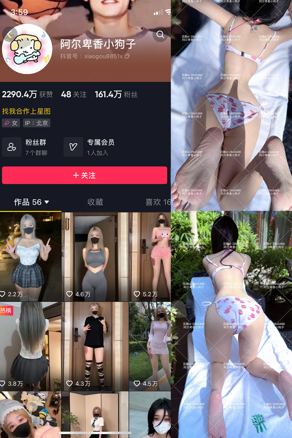 抖音 阿尔卑香小狗子 微密圈 NO.060期 【17P】最新至:2025.2.8 抖音 阿尔卑香小狗子 微密圈 NO.060期 【17P】最新至:2025.2.8