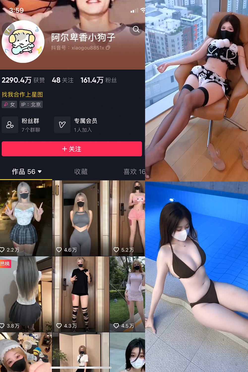 抖音 阿尔卑香小狗子 微密圈 NO.062期 【8V】最新至:2025.5.22 抖音 阿尔卑香小狗子 微密圈 NO.062期 【8V】最新至:2025.5.22