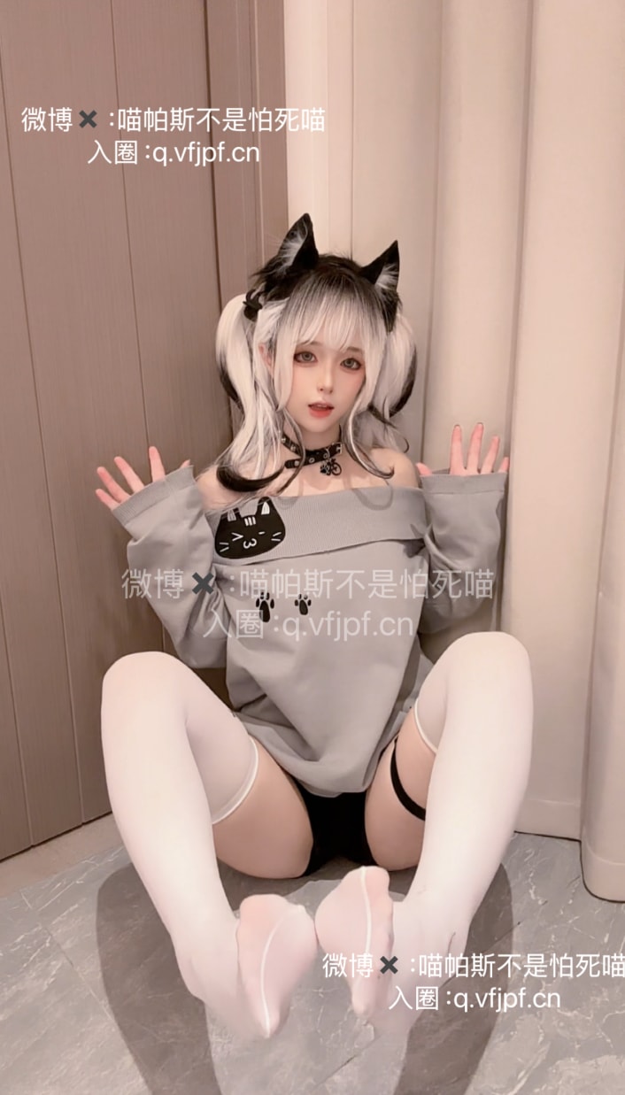 喵帕斯不是怕死喵 – 日常白斯喵--精品分享! 喵帕斯不是怕死喵 – 日常白斯喵--精品分享!