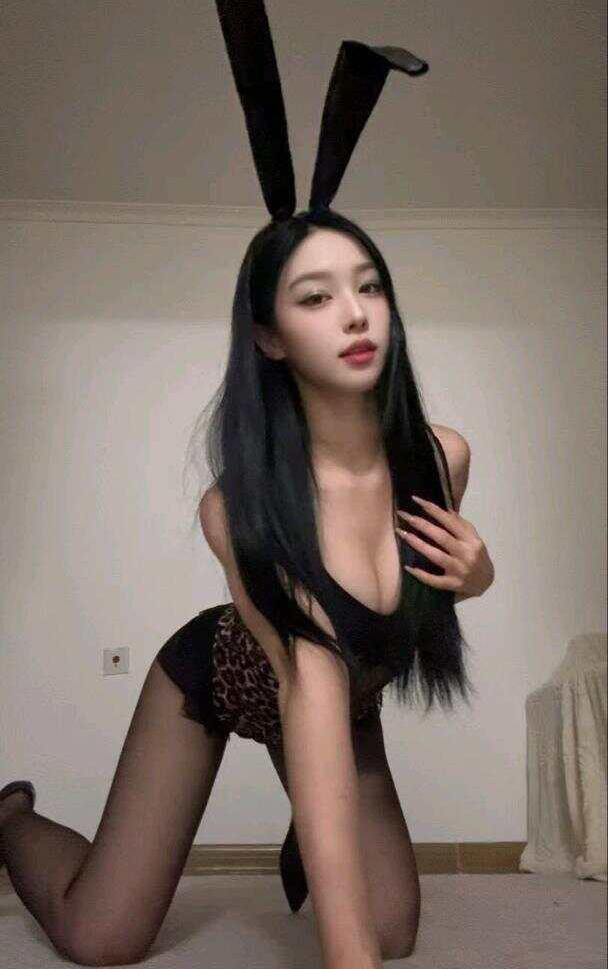 里不理 岛遇合集[持续更新2025.09.27]