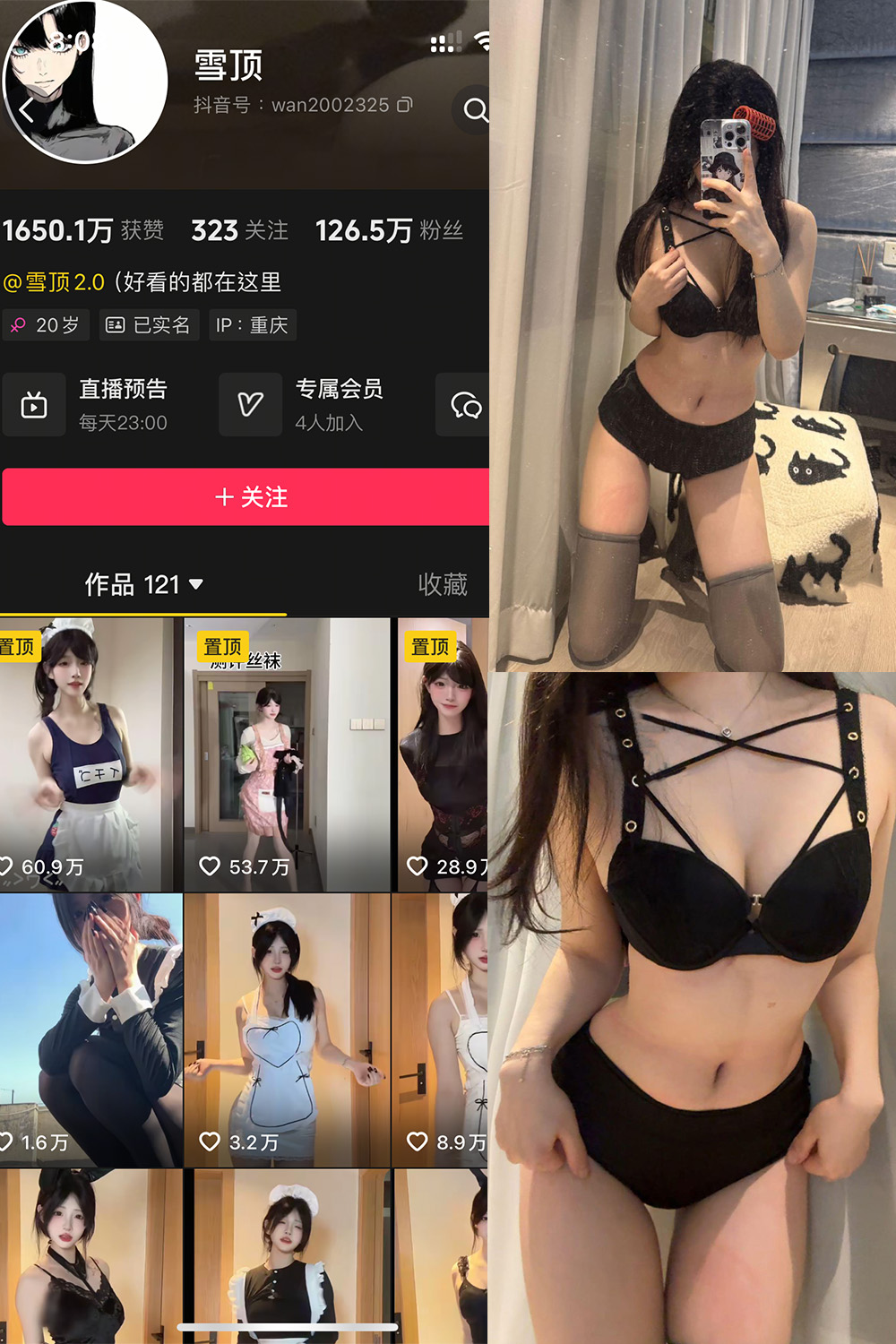 雪顶 岛遇 NO.013期 最新至：2025.10.28--爆料分享！