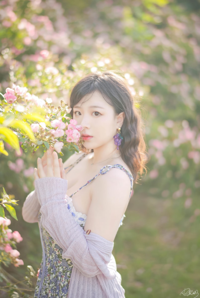 皮皮奶可可爱了啦#蔷薇花--精品推荐！