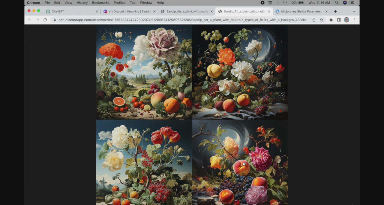 ChatGPT4 和 MidJourney AI 绘画聊天革命性指南教程-33节视频课-中英字幕9009 作者:福缘创业网 帖子ID:106177 